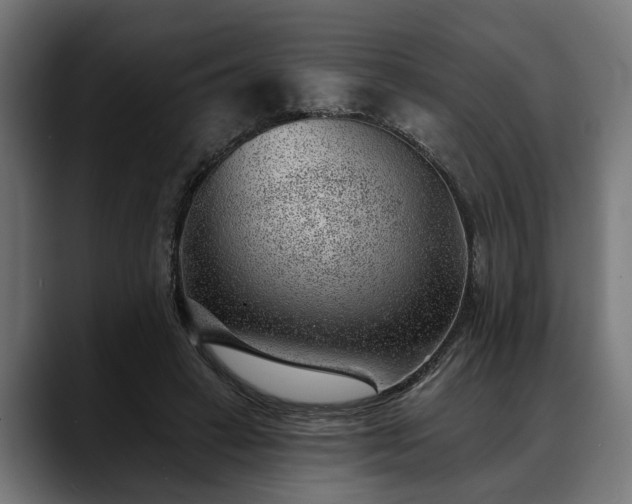 X0000088450449200705291515