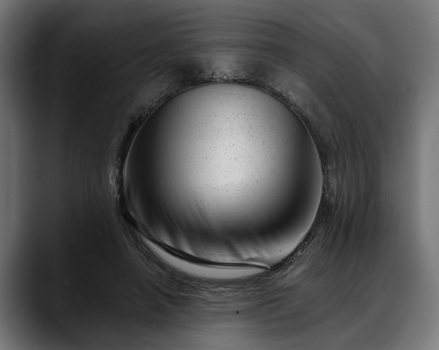 X0000088450450200705291515