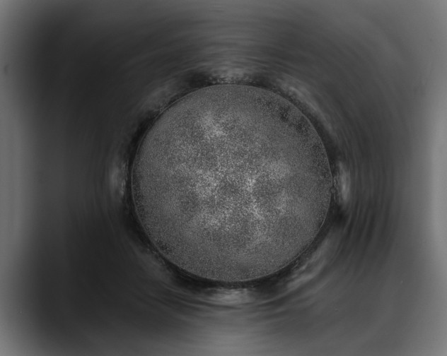 X0000088450458200705291515
