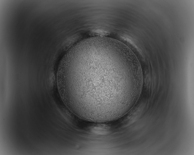 X0000088450459200705291515