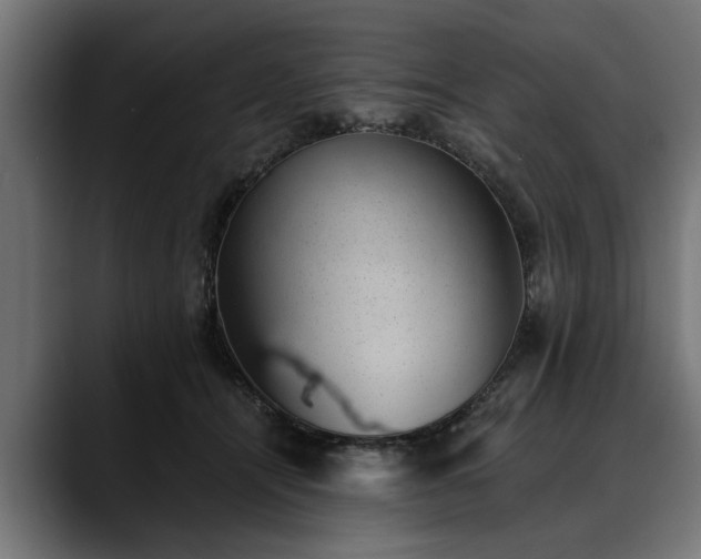 X0000088450464200705291516
