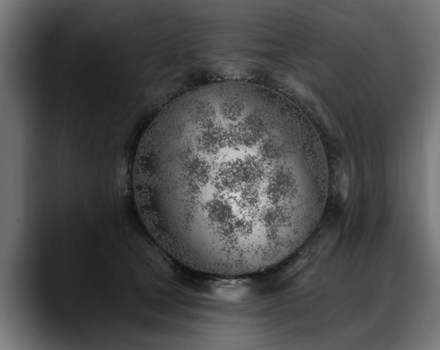 X0000088450465200705291516