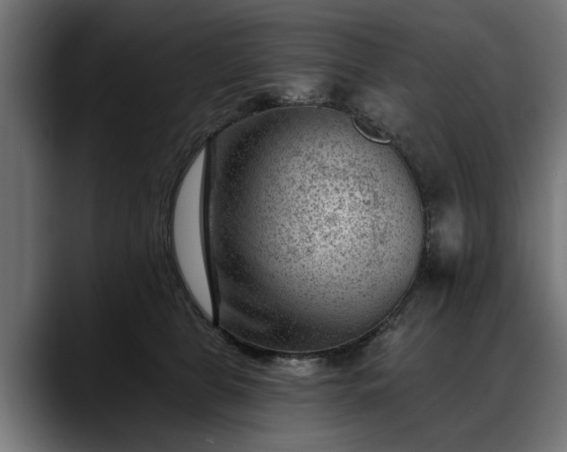 X0000088450469200705291516