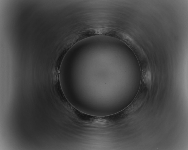X0000088450471200705291516