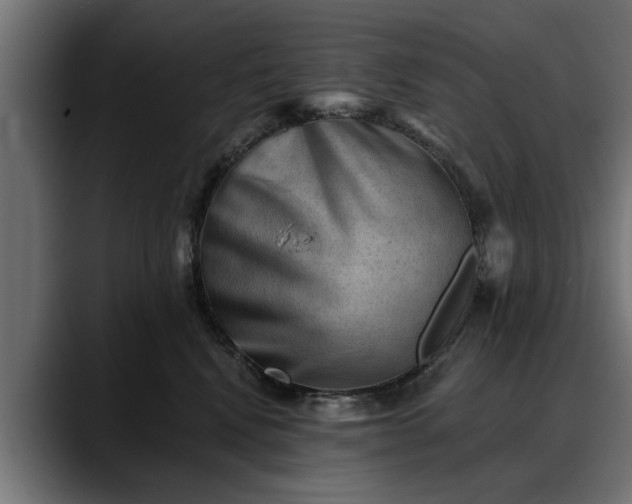 X0000088450472200705291516