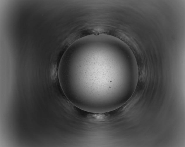 X0000088450478200705291516