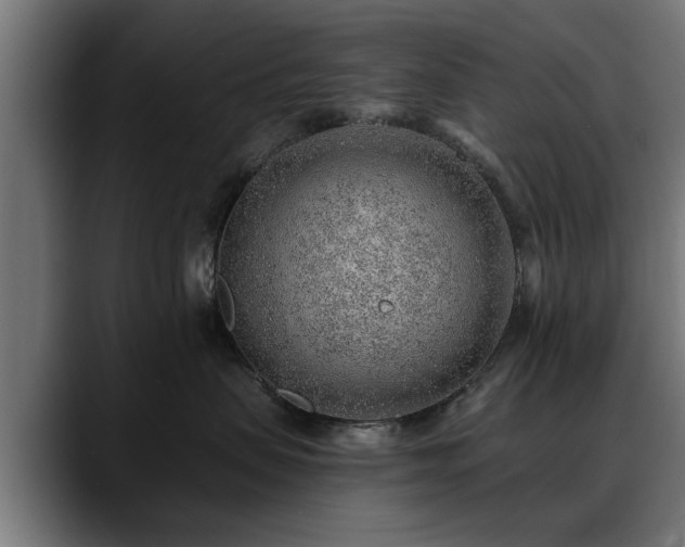 X0000088450479200705291516