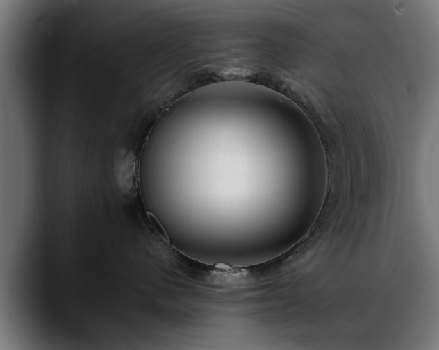 X0000088450480200705291516
