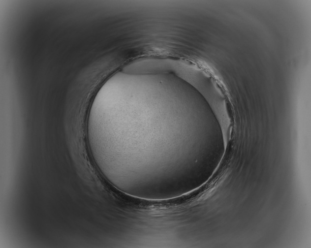 X0000088450481200705291515