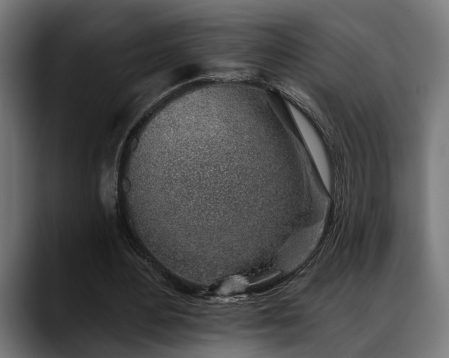 X0000088450484200705291515
