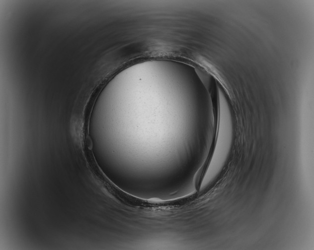 X0000088450485200705291515