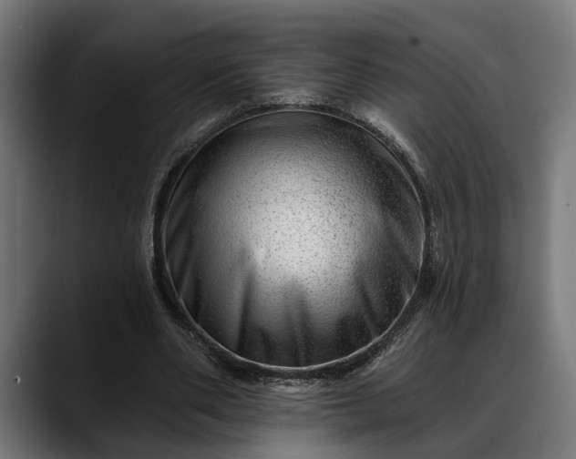 X0000088450486200705291515