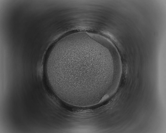 X0000088450488200705291515