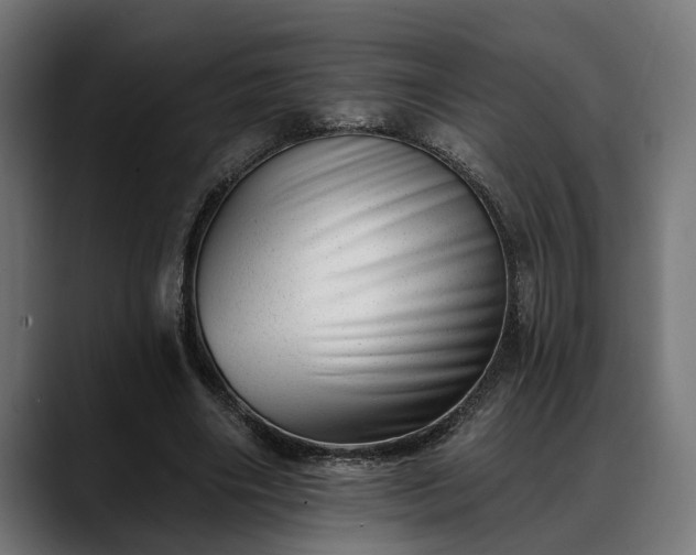 X0000088450490200705291515