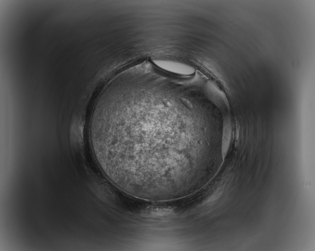 X0000088450491200705291515