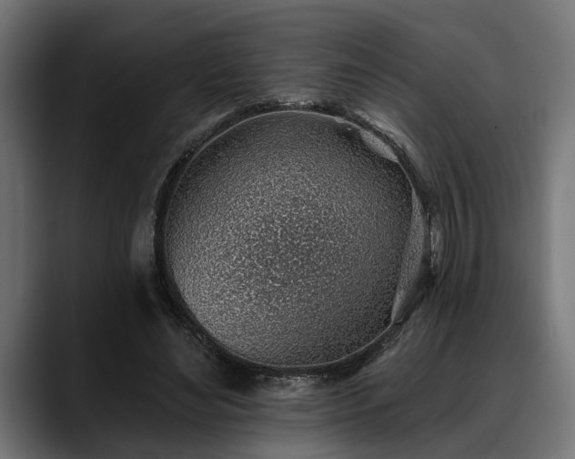 X0000088450492200705291515