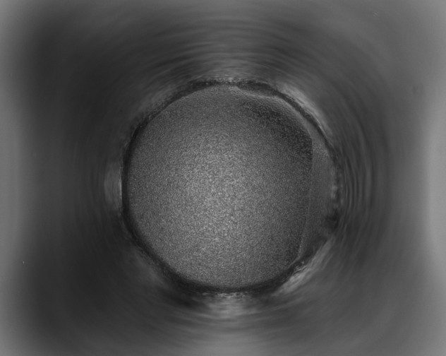 X0000088450493200705291515