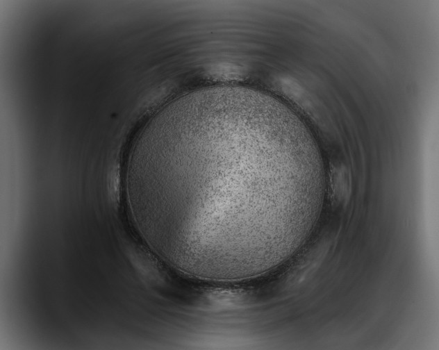 X0000088450494200705291515