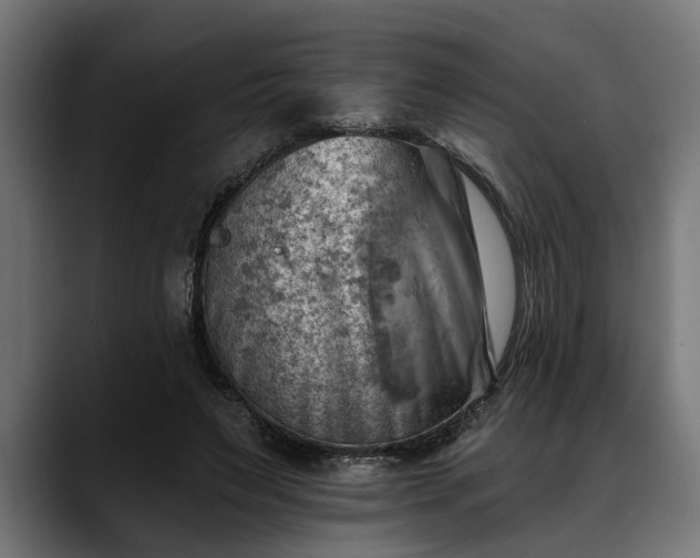 X0000088450495200705291515