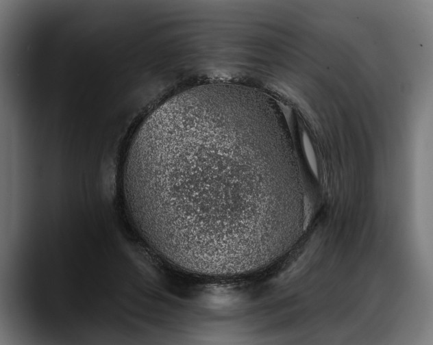 X0000088450496200705291515