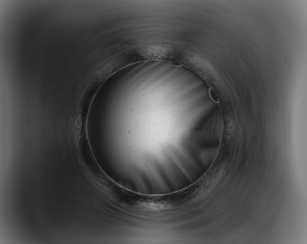 X0000088450498200705291515
