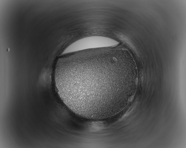 X0000088450501200705291515