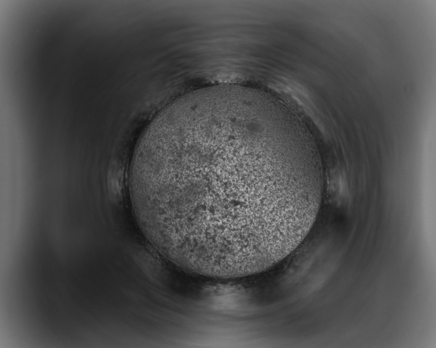 X0000088450503200705291515