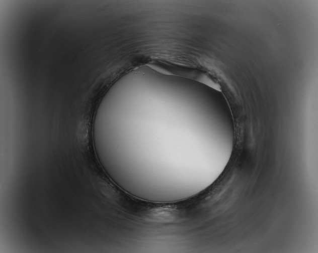 X0000088450505200705291515