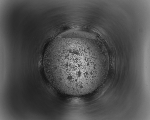 X0000088450507200705291515