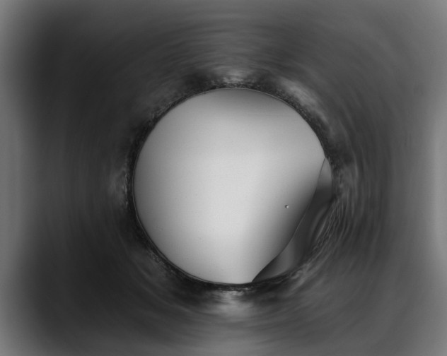 X0000088450509200705291515