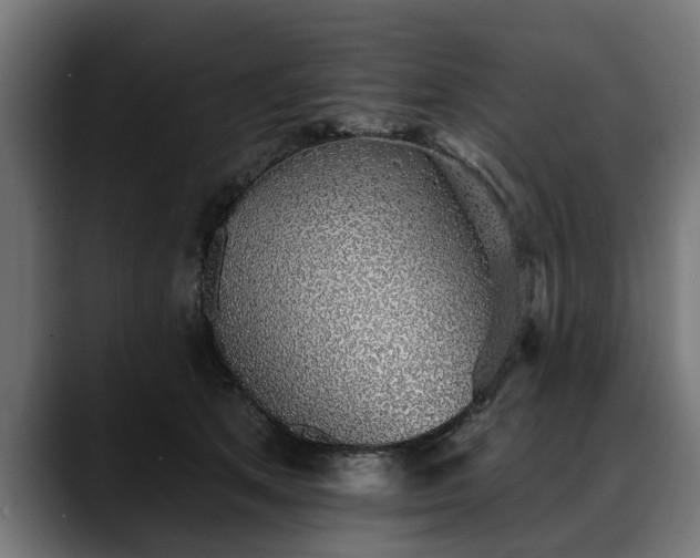 X0000088450513200705291515