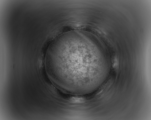 X0000088450515200705291515