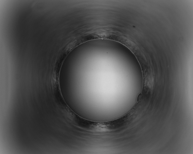 X0000088450518200705291515