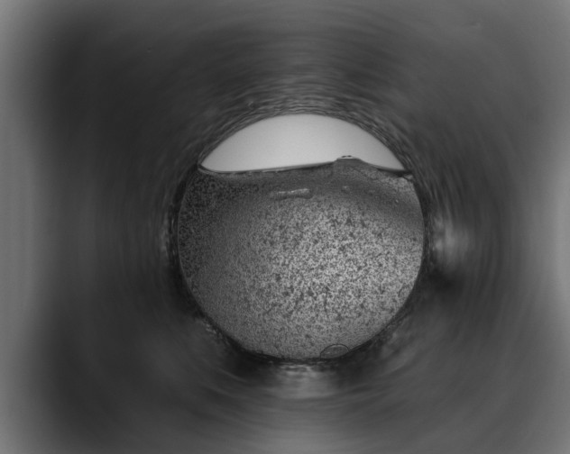 X0000088450519200705291515