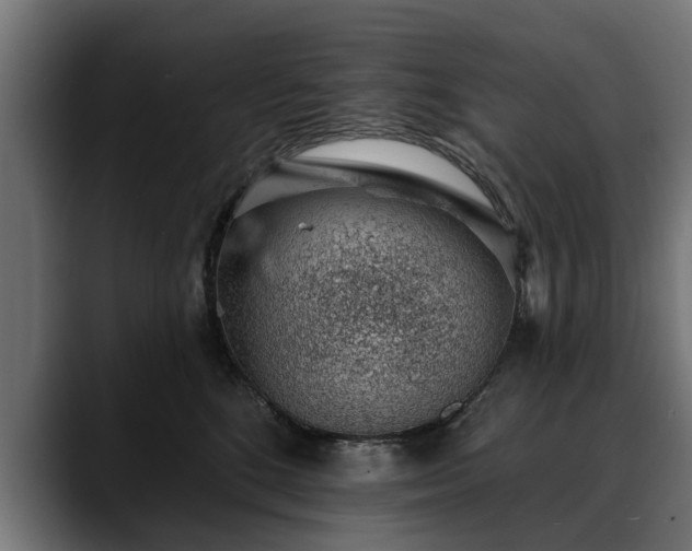 X0000088450520200705291515