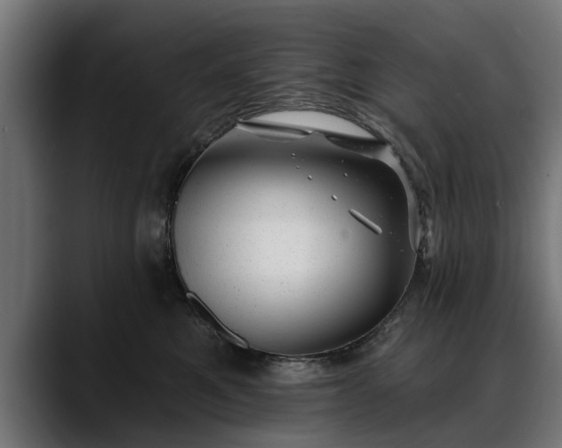 X0000088450521200705291515