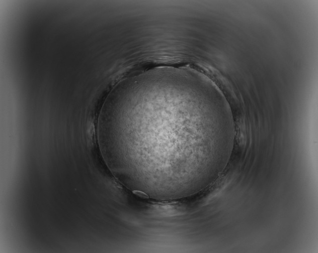 X0000088450523200705291515