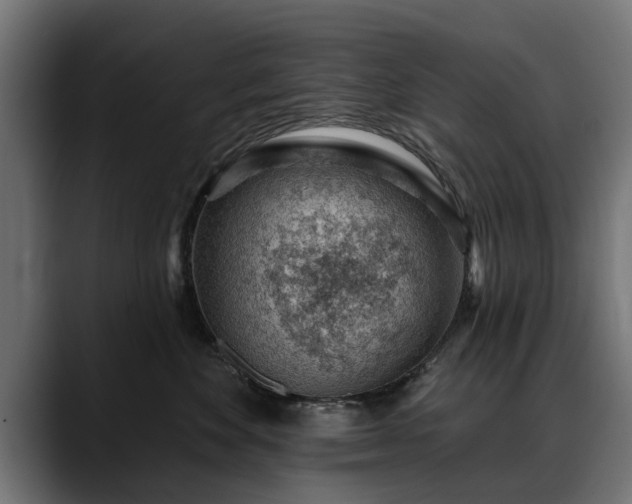 X0000088450524200705291515