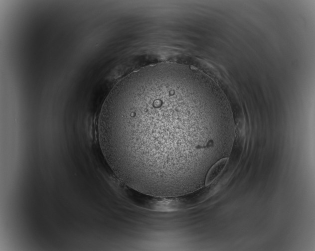 X0000088450527200705291515