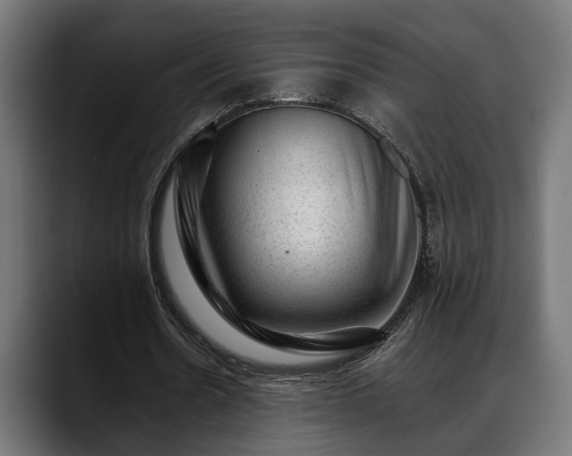 X0000088450530200705291514