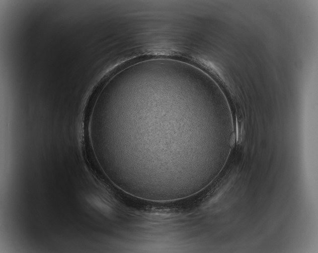 X0000088450531200705291514