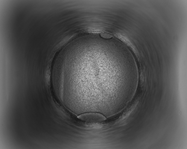 X0000088450533200705291514