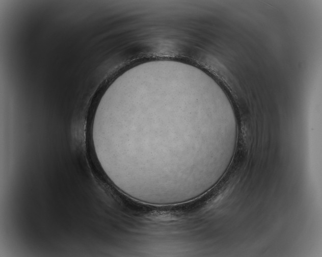 X0000088450534200705291514