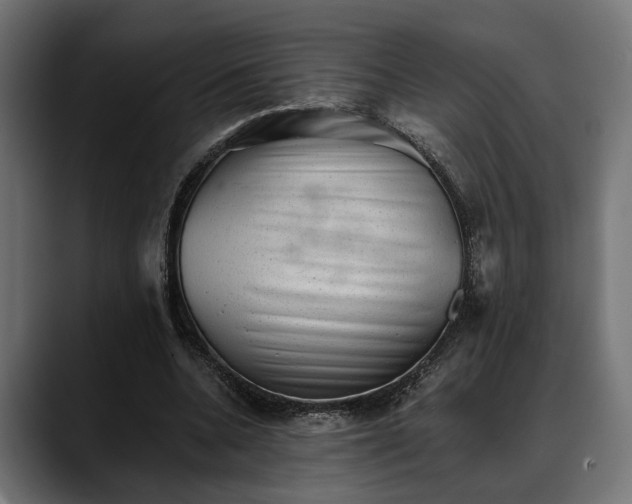 X0000088450536200705291514