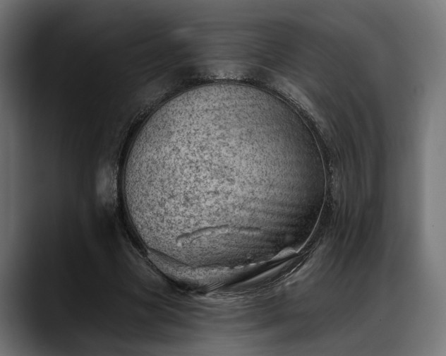 X0000088450537200705291514