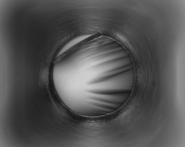 X0000088450538200705291514