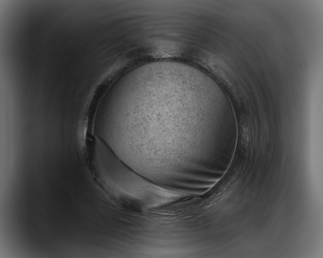X0000088450539200705291514