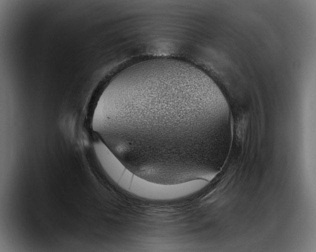 X0000088450540200705291514