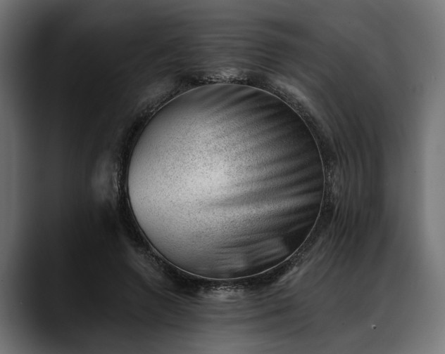 X0000088450546200705291514
