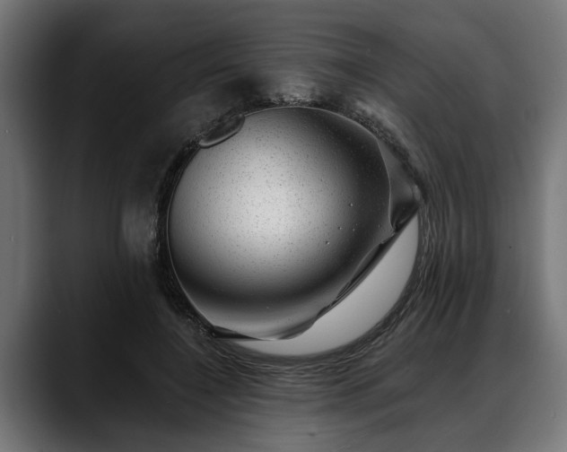 X0000088450548200705291514